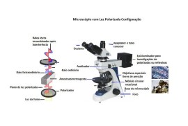 Microscópio Planacromático Polarização Com Epi Iluminador Luz Incidente E Transmitida - LAB-2050
